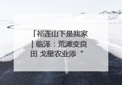 祁连山下是我家｜临泽：荒滩变良田 戈壁农业添“绿”生“金”