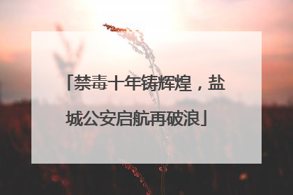 禁毒十年铸辉煌，盐城公安启航再破浪