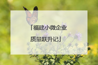 福建小微企业质量跃升记
