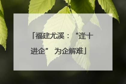 福建尤溪：“逢十进企” 为企解难
