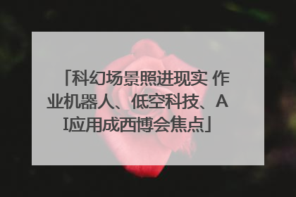 科幻场景照进现实 作业机器人、低空科技、AI应用成西博会焦点