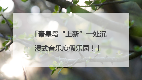 秦皇岛“上新”一处沉浸式音乐度假乐园！