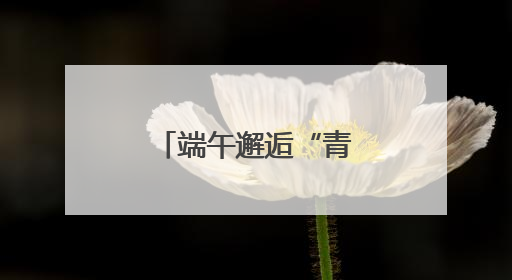 端午邂逅“青花”，“移动博物馆”点亮郑州城市文化空间