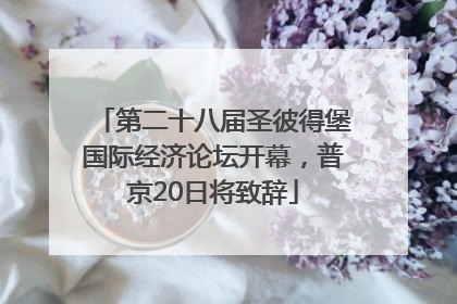 第二十八届圣彼得堡国际经济论坛开幕，普京20日将致辞