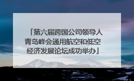 第六届跨国公司领导人青岛峰会通用航空和低空经济发展论坛成功举办