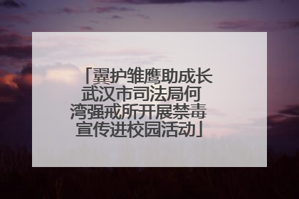 翼护雏鹰助成长 武汉市司法局何湾强戒所开展禁毒宣传进校园活动