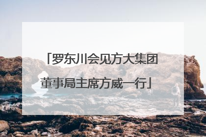 罗东川会见方大集团董事局主席方威一行
