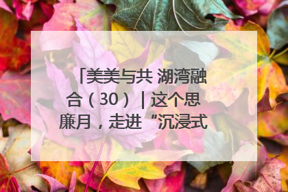 美美与共 湖湾融合（30）｜这个思廉月，走进“沉浸式”清风课堂