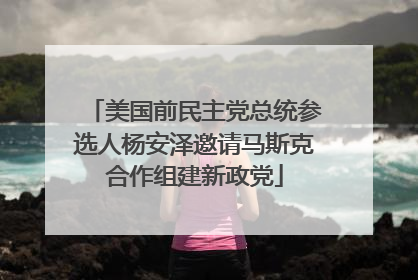 美国前民主党总统参选人杨安泽邀请马斯克合作组建新政党