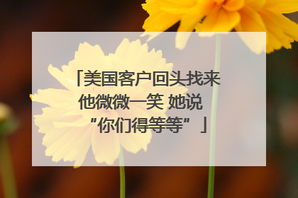 美国客户回头找来 他微微一笑 她说“你们得等等”