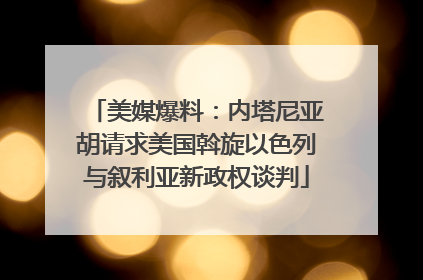 美媒爆料：内塔尼亚胡请求美国斡旋以色列与叙利亚新政权谈判