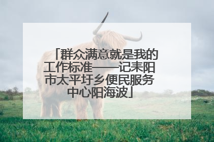 群众满意就是我的工作标准——记耒阳市太平圩乡便民服务中心阳海波