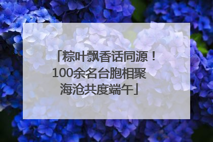 粽叶飘香话同源！100余名台胞相聚海沧共度端午