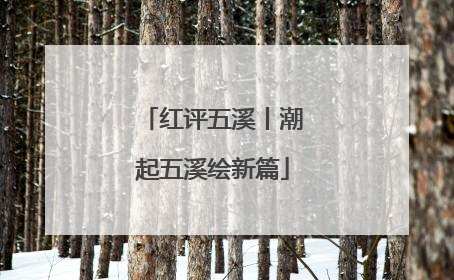 红评五溪丨潮起五溪绘新篇