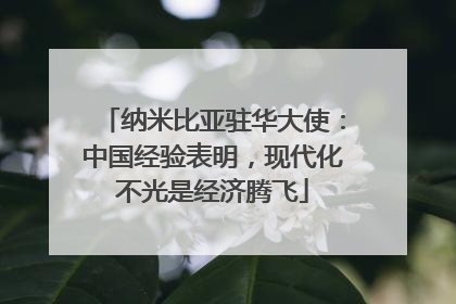 纳米比亚驻华大使：中国经验表明，现代化不光是经济腾飞