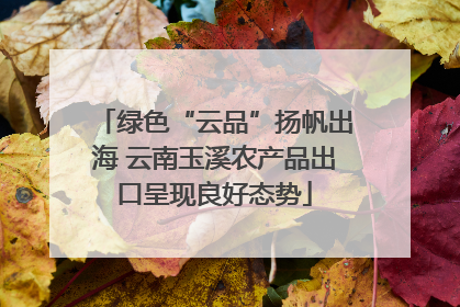 绿色“云品”扬帆出海 云南玉溪农产品出口呈现良好态势