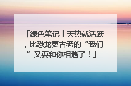 绿色笔记丨天热就活跃，比恐龙更古老的“我们”又要和你相遇了！