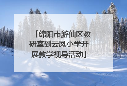 绵阳市游仙区教研室到云凤小学开展教学视导活动
