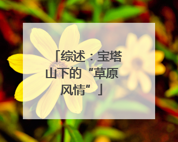 综述：宝塔山下的“草原风情”