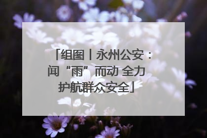 组图丨永州公安：闻“雨”而动 全力护航群众安全