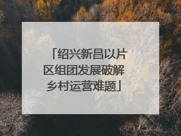 绍兴新昌以片区组团发展破解乡村运营难题