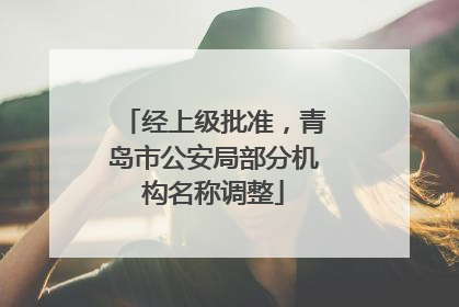经上级批准，青岛市公安局部分机构名称调整