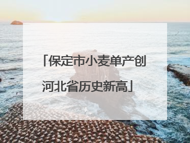 保定市小麦单产创河北省历史新高