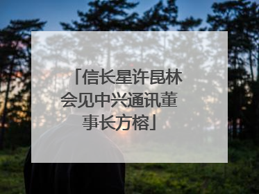 信长星许昆林会见中兴通讯董事长方榕