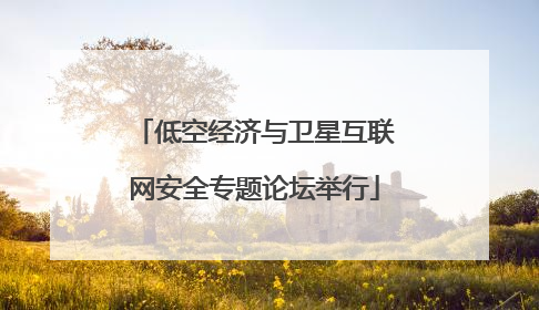 低空经济与卫星互联网安全专题论坛举行