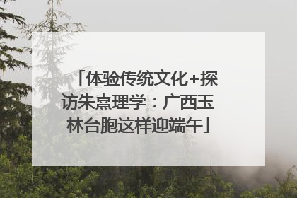 体验传统文化+探访朱熹理学：广西玉林台胞这样迎端午