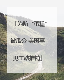 为防“蛋糕”被瓜分 美国罕见主动推销