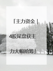 主力资金｜4股尾盘获主力大幅抢筹