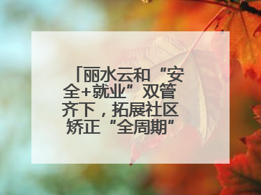 丽水云和“安全+就业”双管齐下，拓展社区矫正“全周期”管理新路径