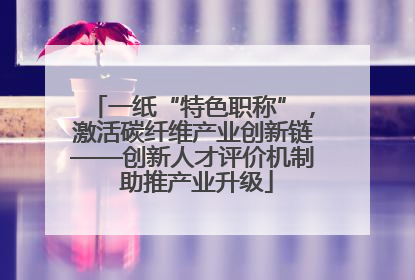 一纸“特色职称”，激活碳纤维产业创新链——创新人才评价机制 助推产业升级