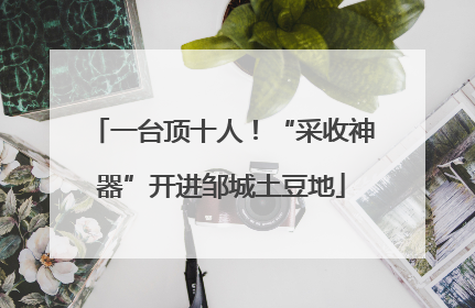 一台顶十人！“采收神器”开进邹城土豆地