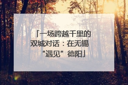 一场跨越千里的双城对话：在无锡“遇见”德阳