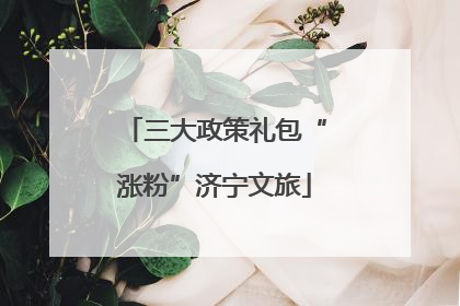 三大政策礼包“涨粉”济宁文旅