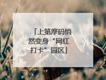 上第摩码悄然变身“网红打卡”园区