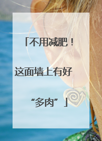 不用减肥！这面墙上有好“多肉”