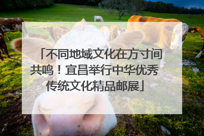 不同地域文化在方寸间共鸣！宜昌举行中华优秀传统文化精品邮展