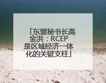 东盟秘书长高金洪：RCEP是区域经济一体化的关键支柱