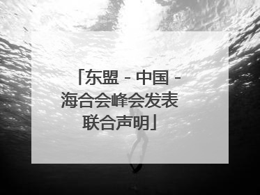 东盟－中国－海合会峰会发表联合声明