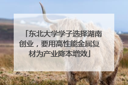 东北大学学子选择湖南创业，要用高性能金属复材为产业降本增效