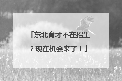 东北育才不在招生？现在机会来了！