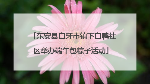 东安县白牙市镇下白鸭社区举办端午包粽子活动