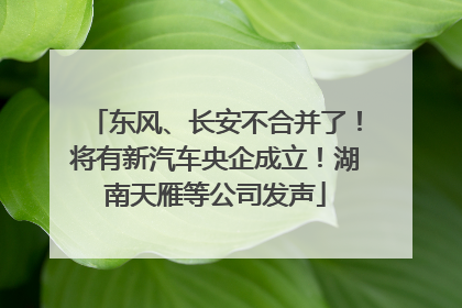 东风、长安不合并了！将有新汽车央企成立！湖南天雁等公司发声