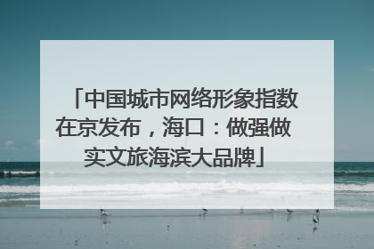 中国城市网络形象指数在京发布，海口：做强做实文旅海滨大品牌