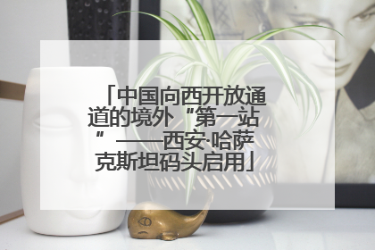 中国向西开放通道的境外“第一站”——西安·哈萨克斯坦码头启用