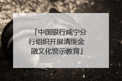 中国银行咸宁分行组织开展清廉金融文化警示教育