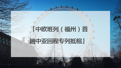 中欧班列（福州）首趟中亚回程专列抵榕